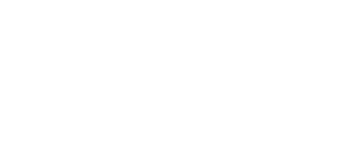 New Jersey Capital Access Fund Logo in White